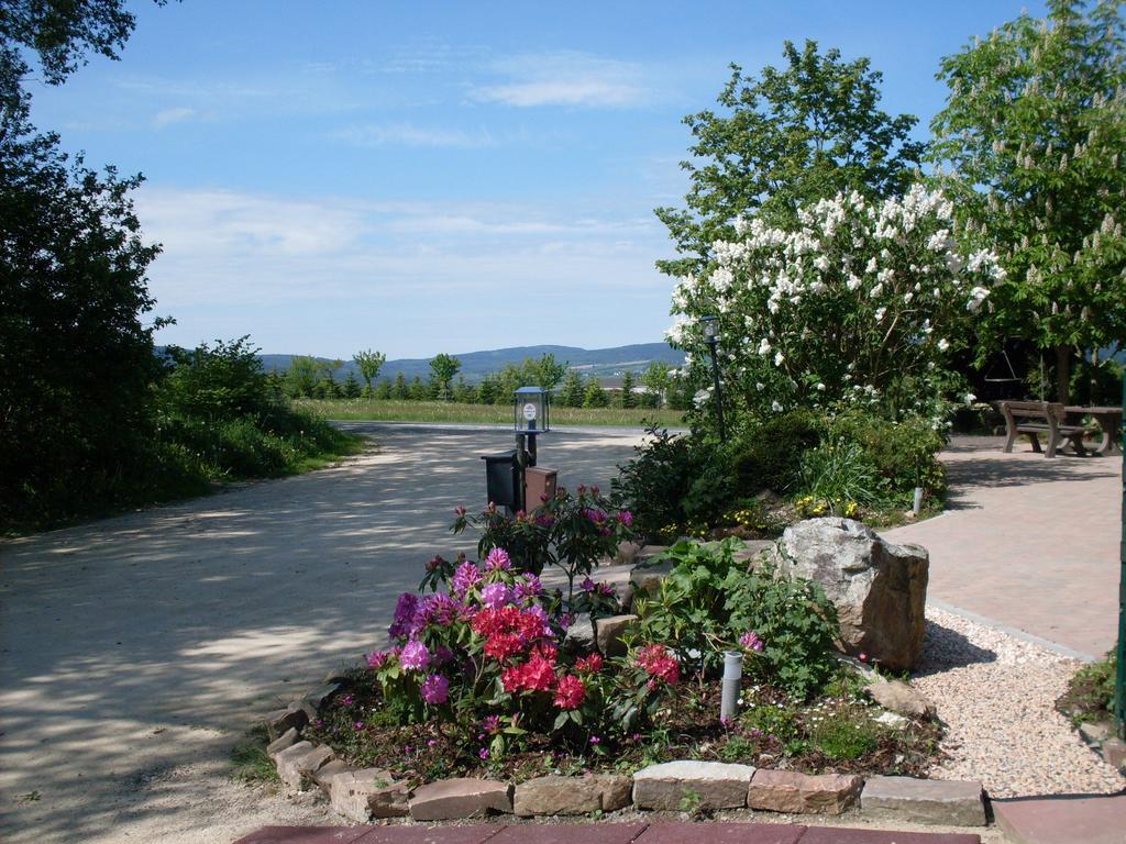 Hotel Wildenburger Hof Kempfeld Esterno foto