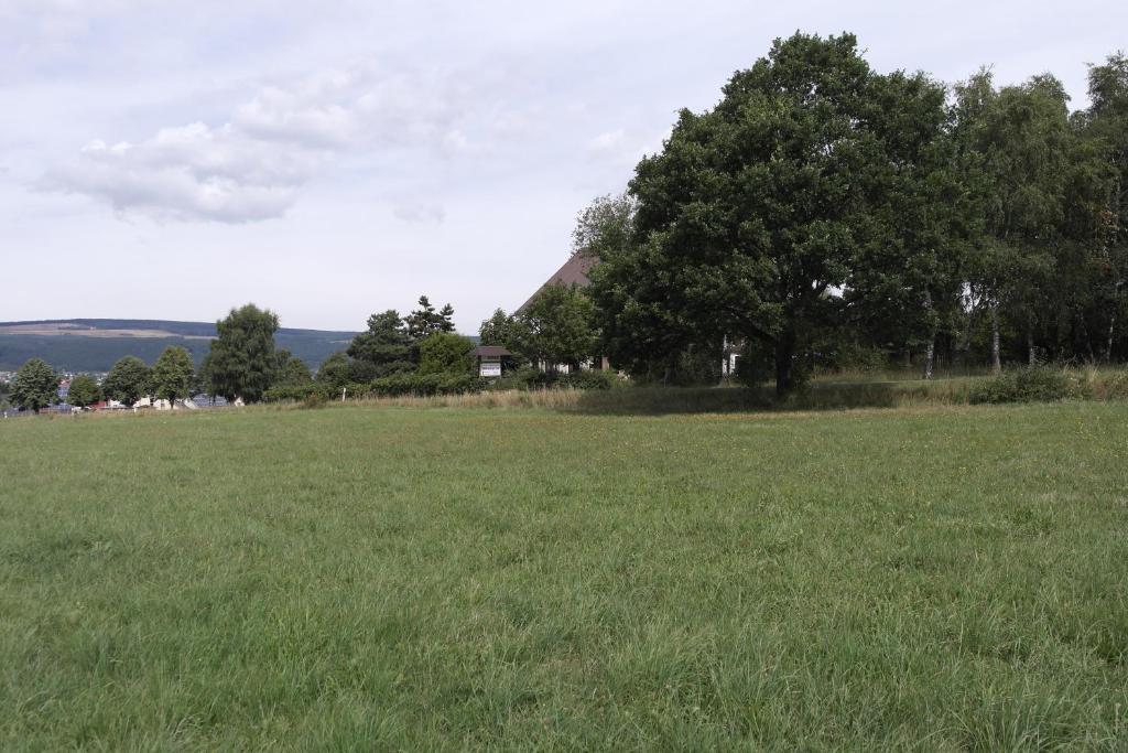 Hotel Wildenburger Hof Kempfeld Esterno foto